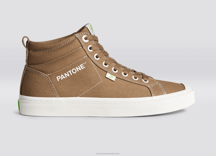 bărbați Cariuma pânză Pantone Lion TFHJ64