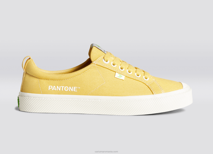 bărbați Cariuma pânză de mătase pantone TFHJ49