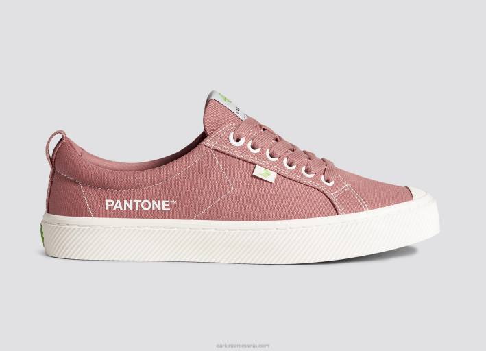 bărbați Cariuma pânză de trandafir ofilit pantone TFHJ18