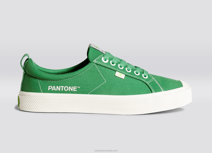 bărbați Cariuma pânză pantone greenbriar TFHJ20