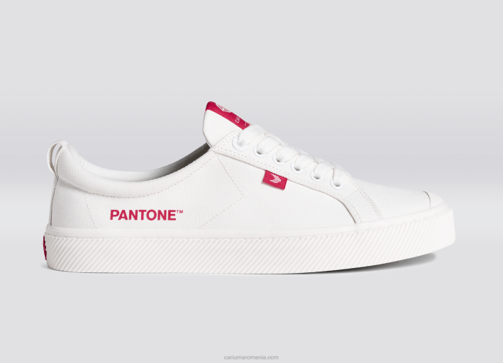 bărbați Cariuma pânză pantone off-white/viva magenta TFHJ39
