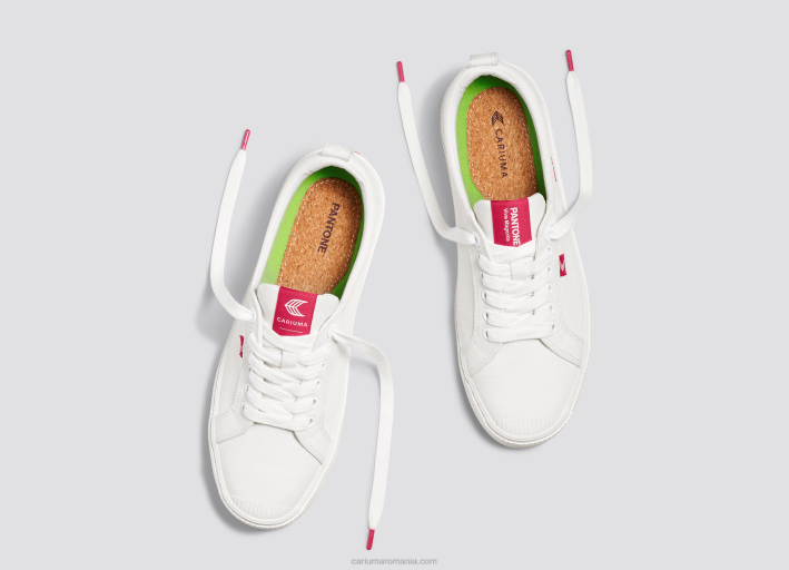 bărbați Cariuma pânză pantone off-white/viva magenta TFHJ39