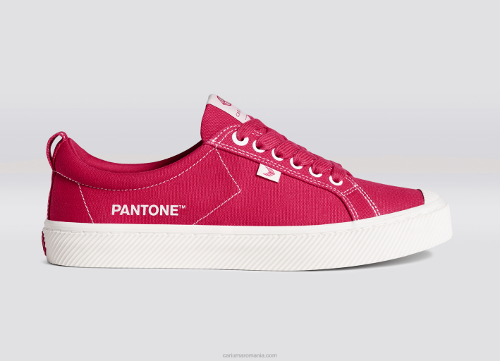 bărbați Cariuma pânză pantone viva magenta/alb murdar TFHJ38