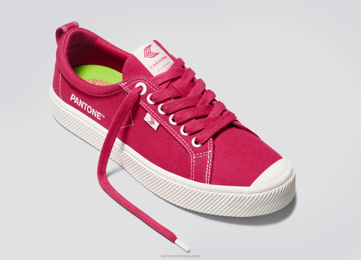 bărbați Cariuma pânză pantone viva magenta/alb murdar TFHJ38