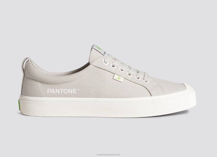 bărbați Cariuma panza de stejar francez pantone TFHJ17
