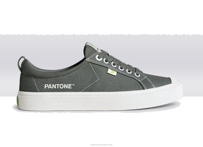 bărbați Cariuma panza gri pantone gargoyle TFHJ40